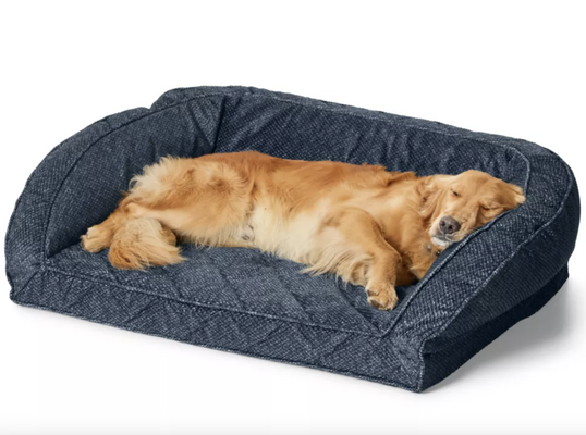 En İyi 5 Farklı Köpek Yatağı Önerisi & Seçim Rehberi