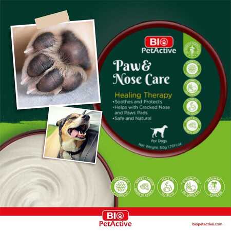 BIO PETACTIVE - Bio Pet Active Paw & Nose Care Pati ve Burun Kremi 50gr