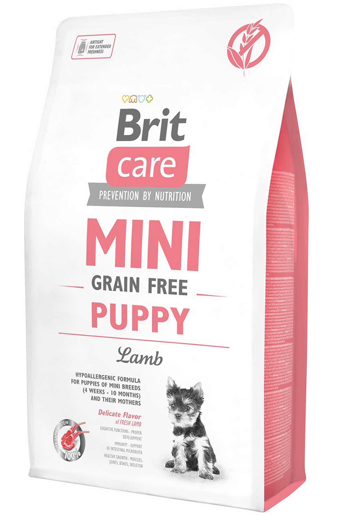 Brit Care Mini Puppy Tahılsız Kuzu Etli Küçük Irk Yavru Köpek Maması 2kg