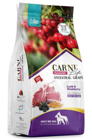 CARNI - Carni Life Cranberry Ancestral Grain Kuzu ve Böğürtlen Medium&Maxi Yetişkin Köpek Maması 12kg+3kg