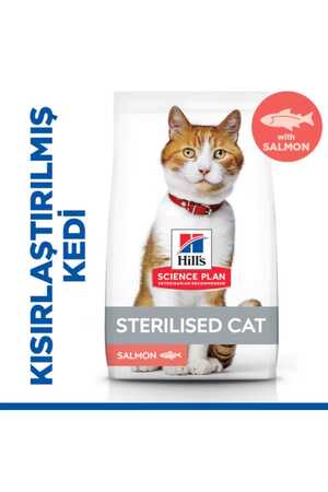 Hills Somonlu Kısırlaştırılmış Yetişkin Kedi Maması 3kg - Thumbnail