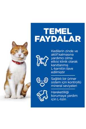 Hills Somonlu Kısırlaştırılmış Yetişkin Kedi Maması 3kg - Thumbnail