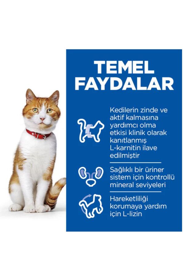 Hills Somonlu Kısırlaştırılmış Yetişkin Kedi Maması 3kg