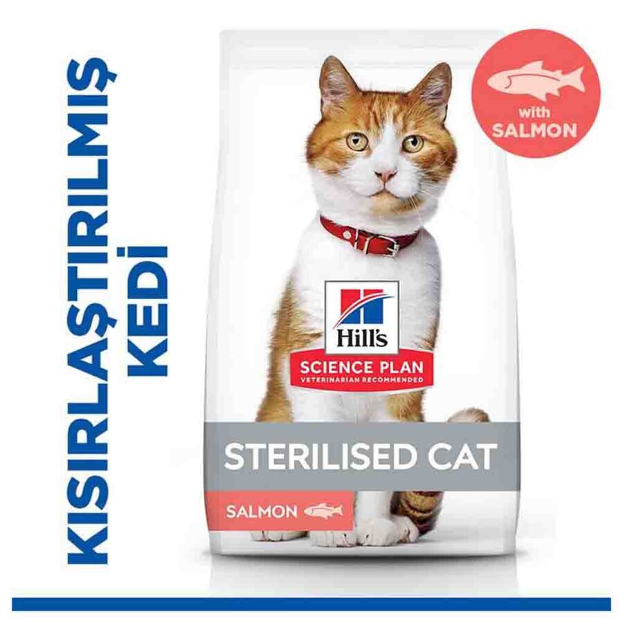 Hills Somonlu Kısırlaştırılmış Kedi Maması 13+2 kg