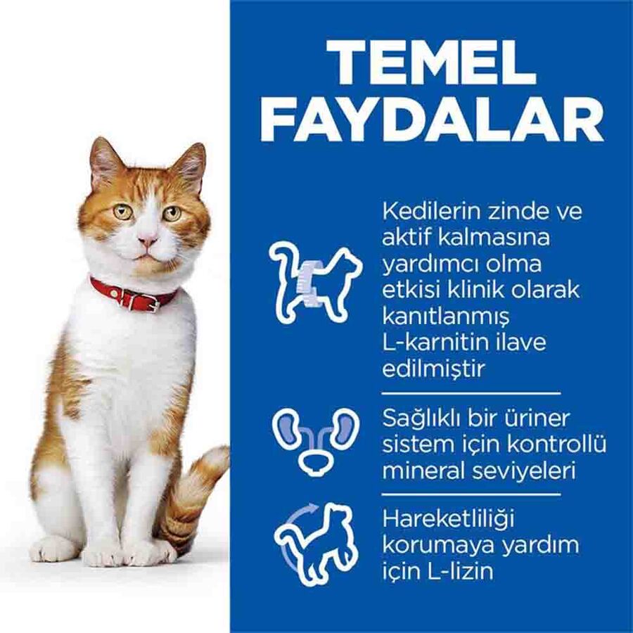 Hills Somonlu Kısırlaştırılmış Kedi Maması 13+2 kg