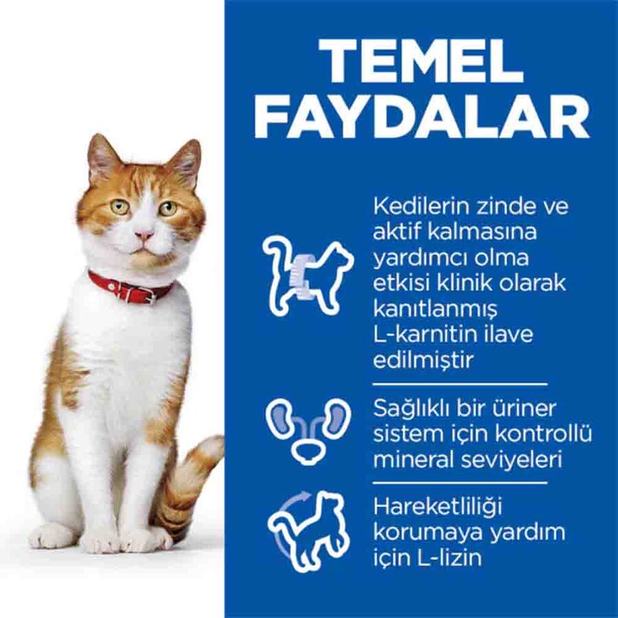 Hills Somonlu Kısırlaştırılmış Yetişkin Kedi Maması 1,5kg