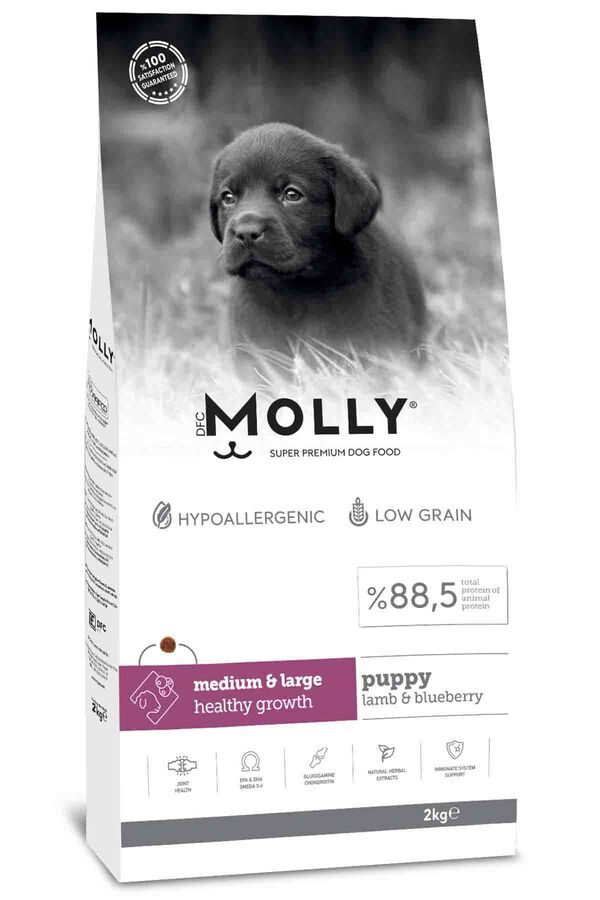 Molly Kuzulu Yabanmersinli Orta ve Büyük Irk Yavru Köpek Maması 2kg