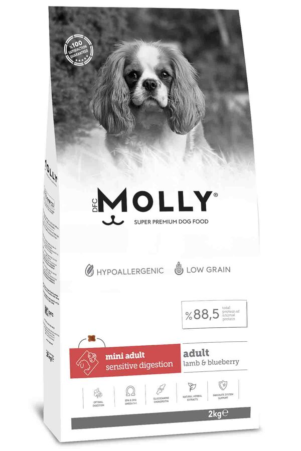 Molly Kuzulu ve Yabanmersinli Mini Irk Yetişkin Köpek Maması 2kg