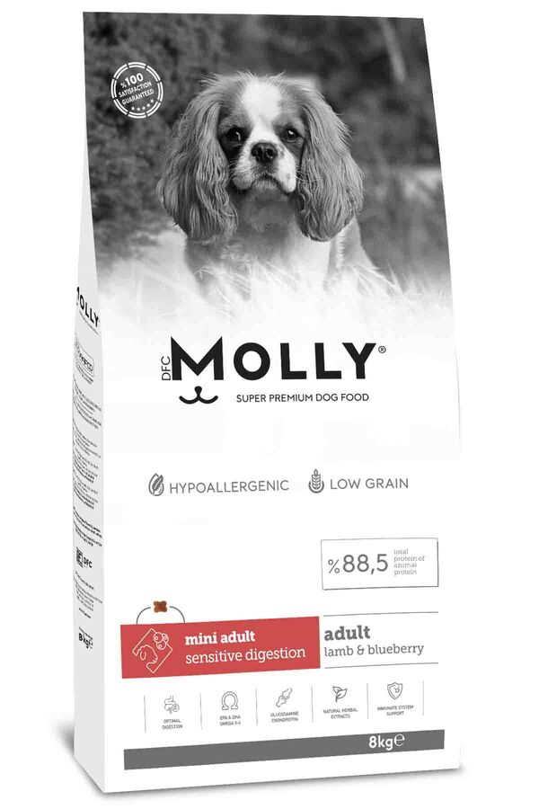 Molly Kuzulu ve Yabanmersinli Mini Irk Yetişkin Köpek Maması 8kg