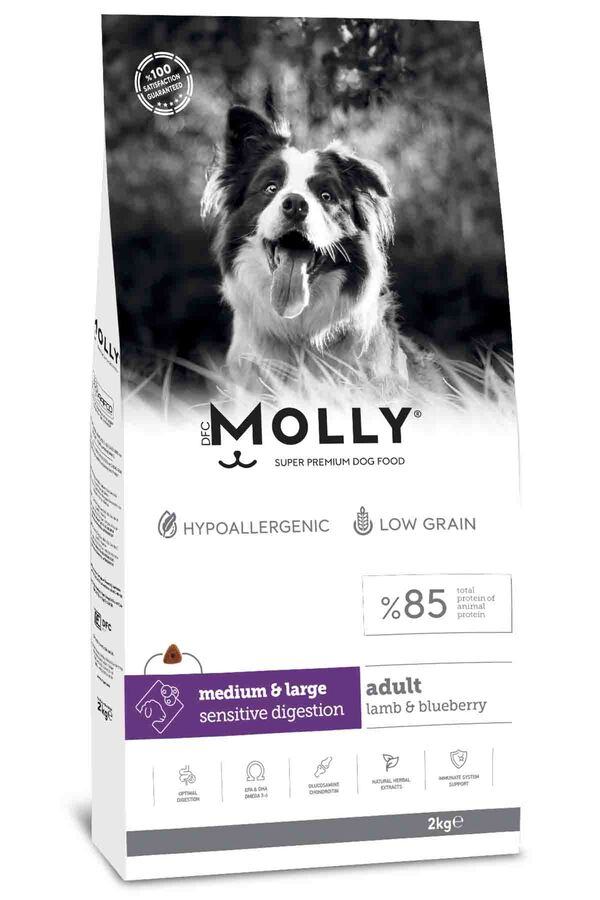 Molly Kuzulu Yabanmersinli Orta ve Büyük Irk Yetişkin Köpek Maması 2kg