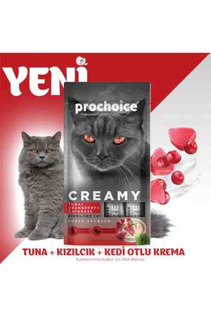 Prochoice Creamy Tuna ve Cranberry Sıvı Kedi Ödül Maması 4x15gr - Thumbnail