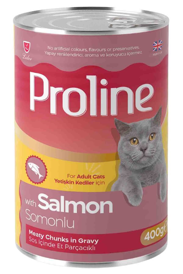 Proline Somonlu Yetişkin Kedi Konservesi 400gr