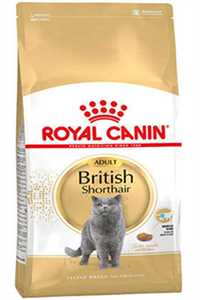 ROYAL CANIN - Royal Canin British Shorthair Adult Yetişkin Kedi Maması 10kg
