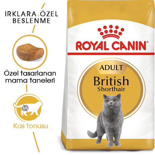 Royal Canin British Shorthair Adult Yetişkin Kedi Maması 2kg