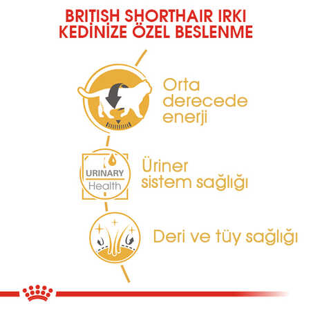 Royal Canin British Shorthair Yetişkin Kedi Konservesi 12x85gr 12li - Thumbnail