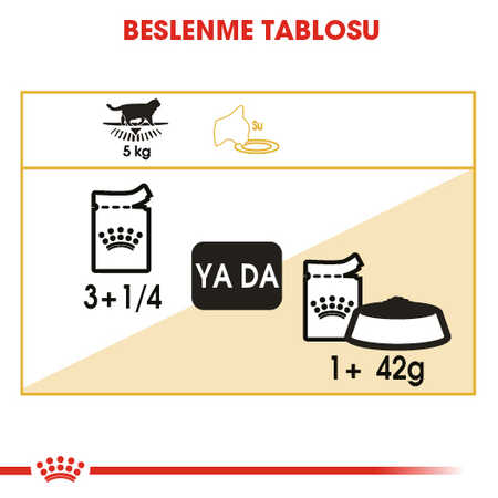 Royal Canin British Shorthair Yetişkin Kedi Konservesi 12x85gr 12li - Thumbnail