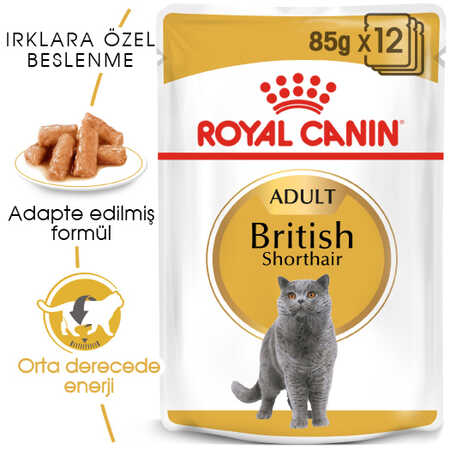 Royal Canin British Shorthair Yetişkin Kedi Konservesi 12x85gr 12li - Thumbnail