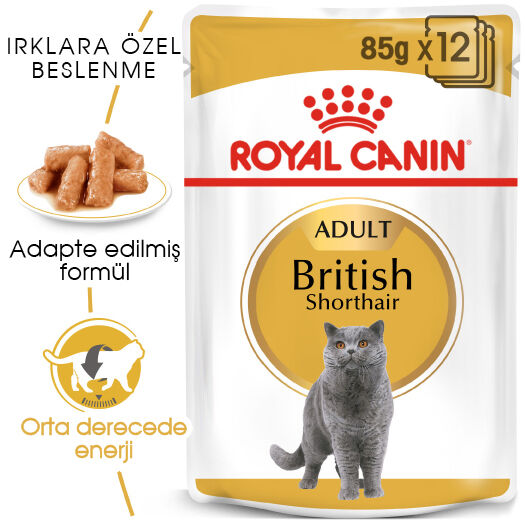 Royal Canin British Shorthair Yetişkin Kedi Konservesi 12x85gr 12li