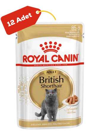 Royal Canin British Shorthair Yetişkin Kedi Konservesi 12x85gr 12li - Thumbnail