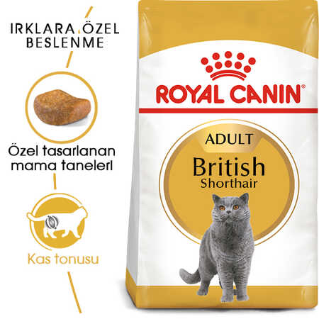 Royal Canin British Shorthair Yetişkin Kedi Maması 4kg - Thumbnail