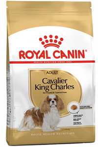 ROYAL CANIN - Royal Canin Cavalier King Charles Adult Yetişkin Köpek Maması 1,5kg