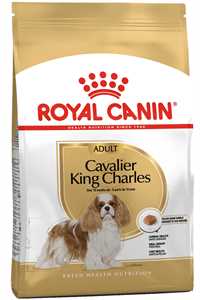 ROYAL CANIN - Royal Canin Cavalier King Charles Adult Yetişkin Köpek Maması 3kg
