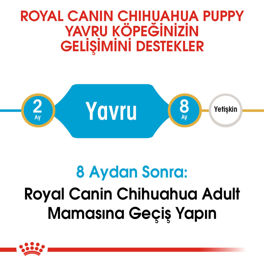 Royal Canin Chihuahua Puppy Yavru Köpek Maması 1,5kg