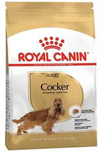ROYAL CANIN - Royal Canin Cocker Yetişkin Köpek Maması 3kg