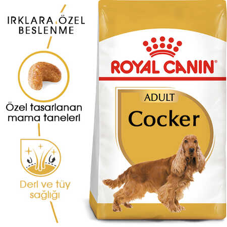 Royal Canin Cocker Yetişkin Köpek Maması 3kg - Thumbnail