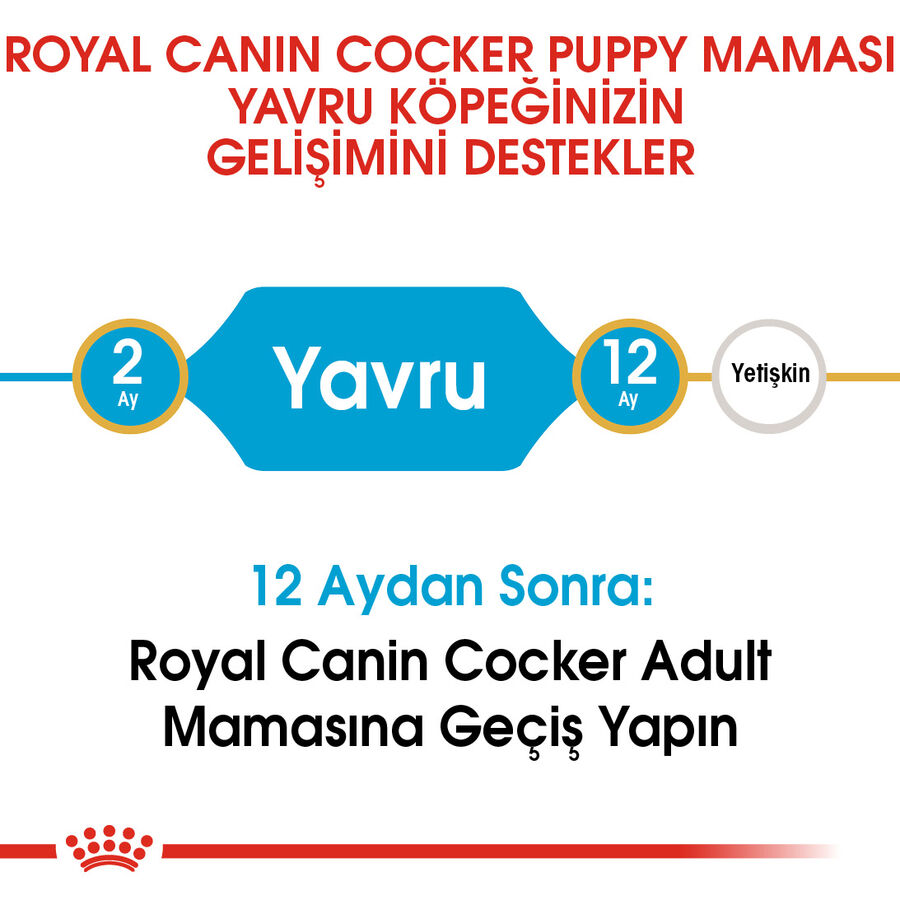 Royal Canin Cocker Puppy Yavru Köpek Maması 3kg
