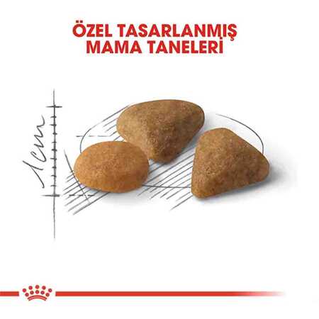 Royal Canin Exigent 35/30 Seçici Yetişkin Kedi Maması 10kg - Thumbnail