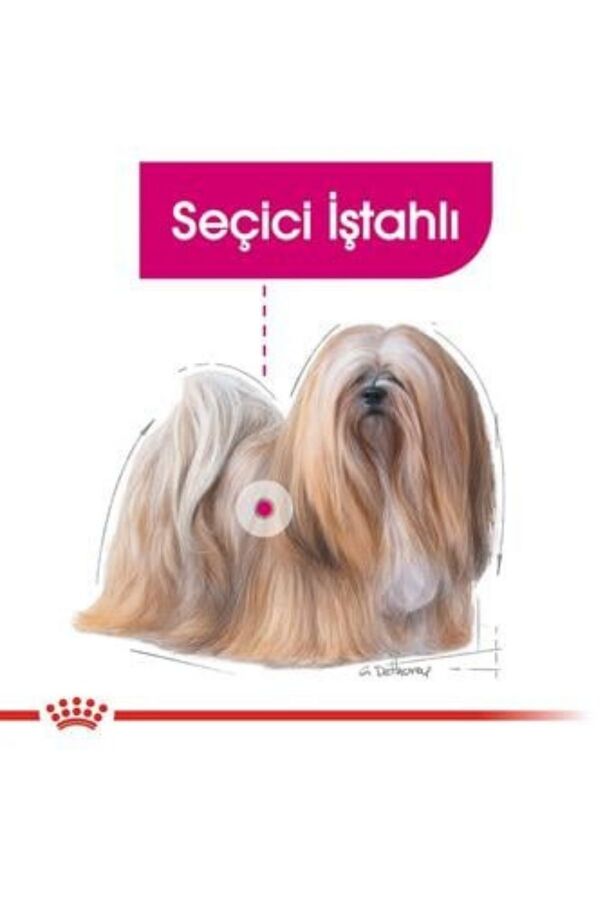 Royal Canin Exigent Seçici Köpek Konservesi 12x85gr (12li)