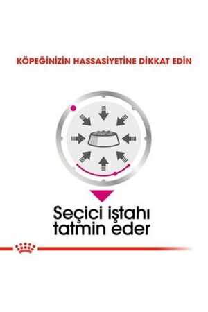 Royal Canin Exigent Seçici Köpek Konservesi 12x85gr (12li) - Thumbnail