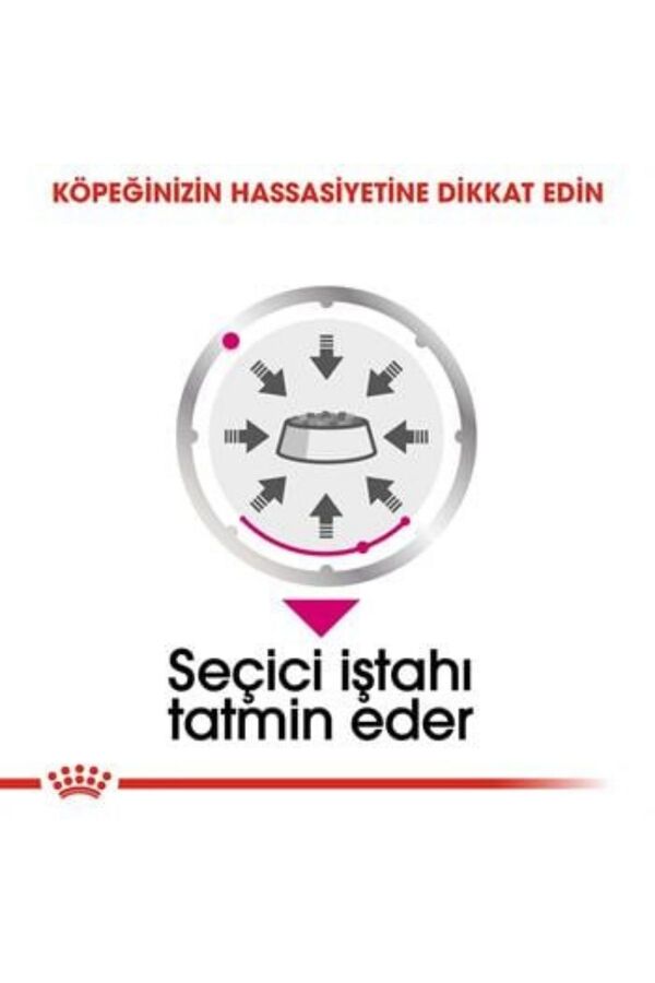 Royal Canin Exigent Seçici Köpek Konservesi 12x85gr (12li)