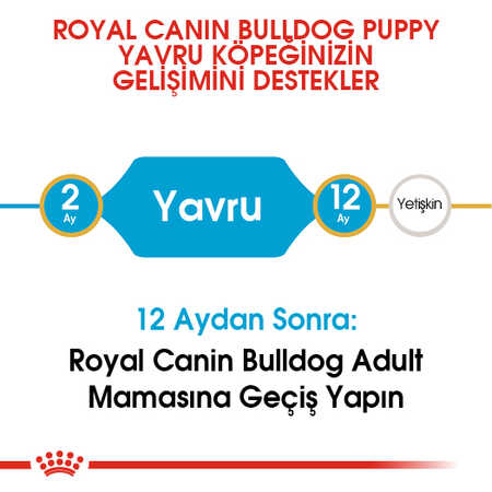 Royal Canin French Bulldog Puppy Yavru Köpek Maması 3kg - Thumbnail