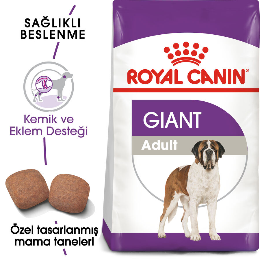 Royal Canin Giant Adult İri Irk Yetişkin Köpek Maması 15kg