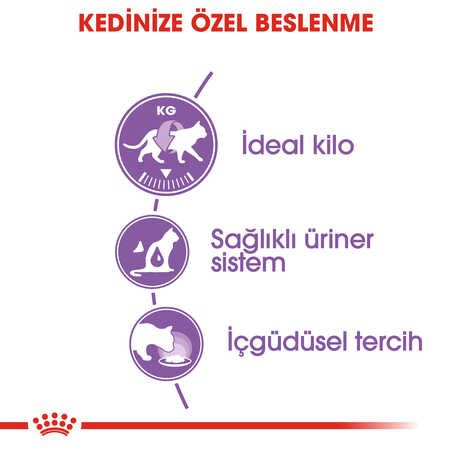 Royal Canin Gravy Kısırlaştırılmış Kedi Konservesi 12x85gr (12li) - Thumbnail