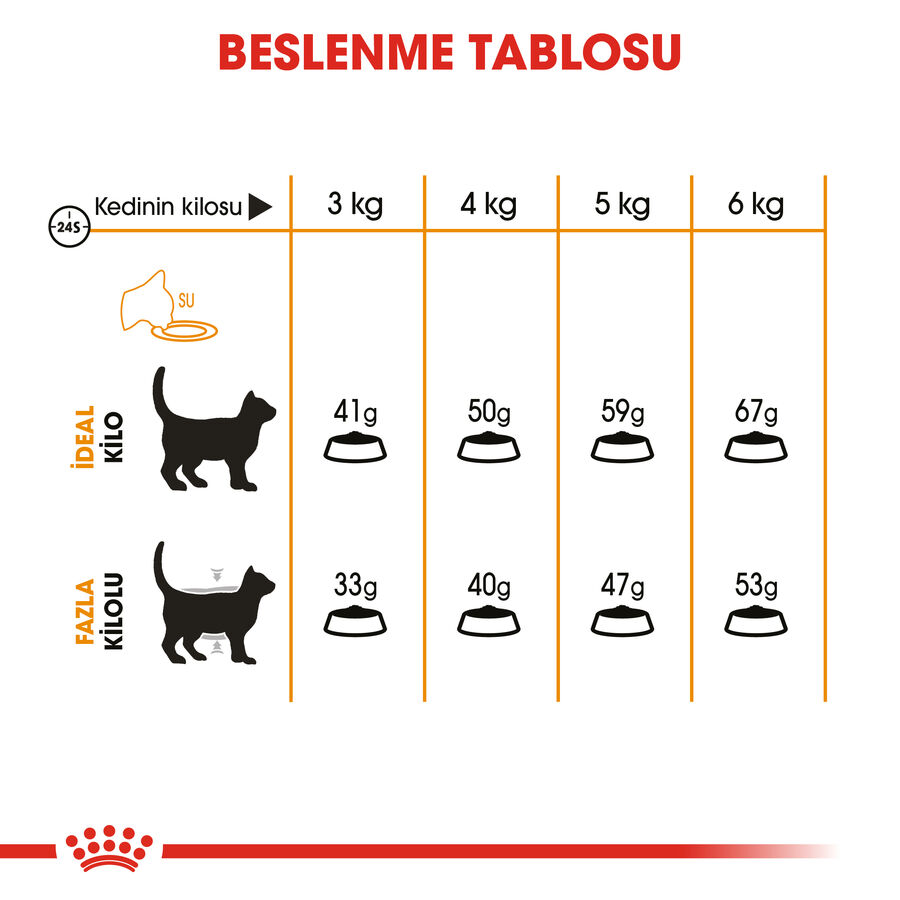Royal Canin Hair & Skin Deri ve Tüy Sağlığı İçin Yetişkin Kedi Maması 2kg