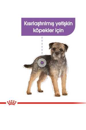 Royal Canin Kısırlaştırılmış Köpek Konservesi 12x85gr (12li) - Thumbnail