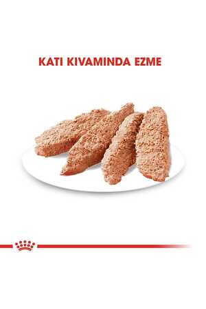 Royal Canin Kısırlaştırılmış Köpek Konservesi 12x85gr (12li) - Thumbnail