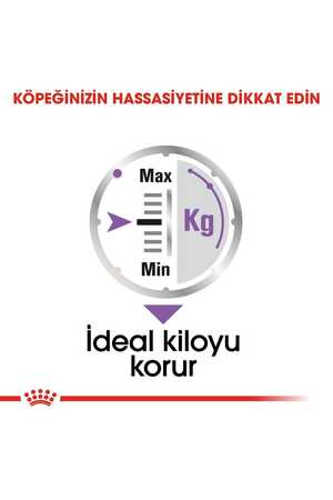 Royal Canin Kısırlaştırılmış Köpek Konservesi 12x85gr (12li) - Thumbnail