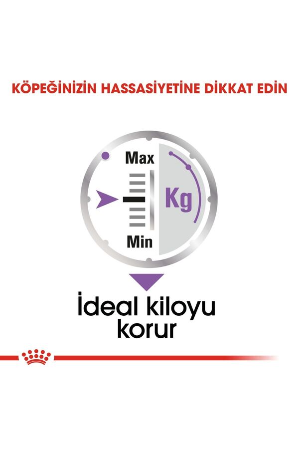 Royal Canin Kısırlaştırılmış Köpek Konservesi 12x85gr (12li)