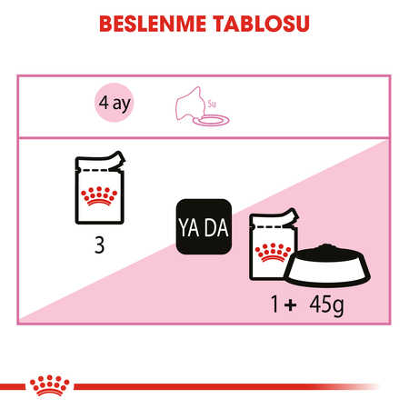 Royal Canin Kitten Gravy Yavru Kedi Konservesi 12x85gr 12li - Thumbnail