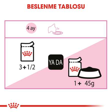 Royal Canin Kitten Jelly Yavru Kedi Konservesi 12x85gr 12li - Thumbnail