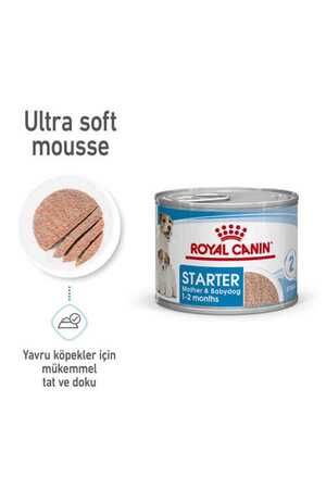 Royal Canin Starter Mousse Mother Babydog 12x195gr 12li - Thumbnail