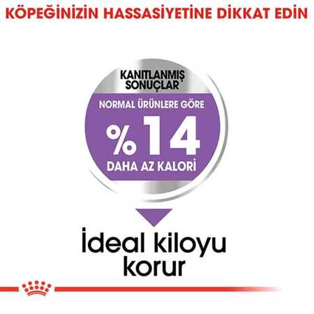 Royal Canin Sterilised Mini Kısırlaştırılmış Küçük Irk Köpek Maması 3kg - Thumbnail