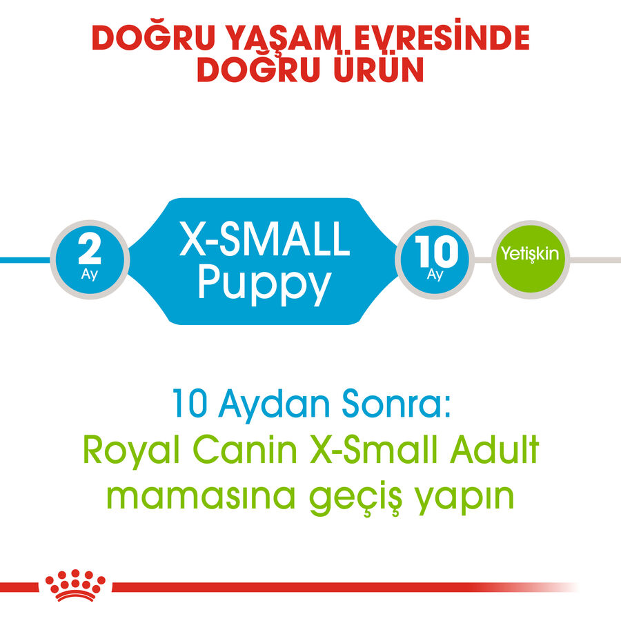 Royal Canin Xsmall Puppy Küçük Irk Yavru Köpek Maması 1,5kg
