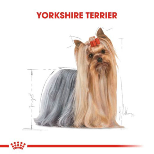 Royal Canin Yorkshire Terrier Adult Köpek Konservesi 85gr