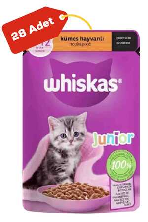 WHISKAS - Whiskas Pouch Gravy Soslu Kümes Hayvanlı Yavru Kedi Konservesi 28x85gr 28li